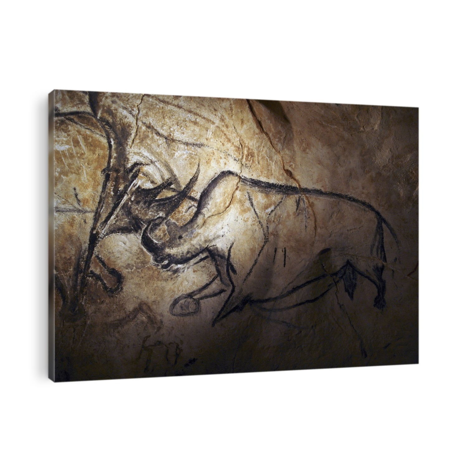 Prehistoric cave paintings, Chauvet, France. These cave paintings of various animals are found in the Chauvet Cave, France. This is the site of the earliest known cave paintings (as of 2011). They have been dated to between 32,900 and 30,000 years ago. This cave painting shows a rhinoceros; several species inhabited prehistoric Europe.