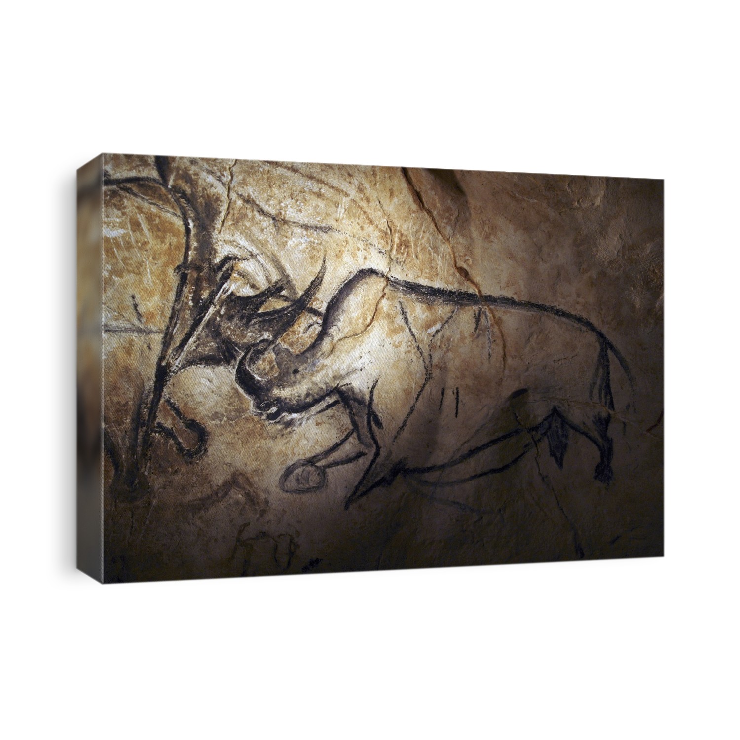 Prehistoric cave paintings, Chauvet, France. These cave paintings of various animals are found in the Chauvet Cave, France. This is the site of the earliest known cave paintings (as of 2011). They have been dated to between 32,900 and 30,000 years ago. This cave painting shows a rhinoceros; several species inhabited prehistoric Europe.