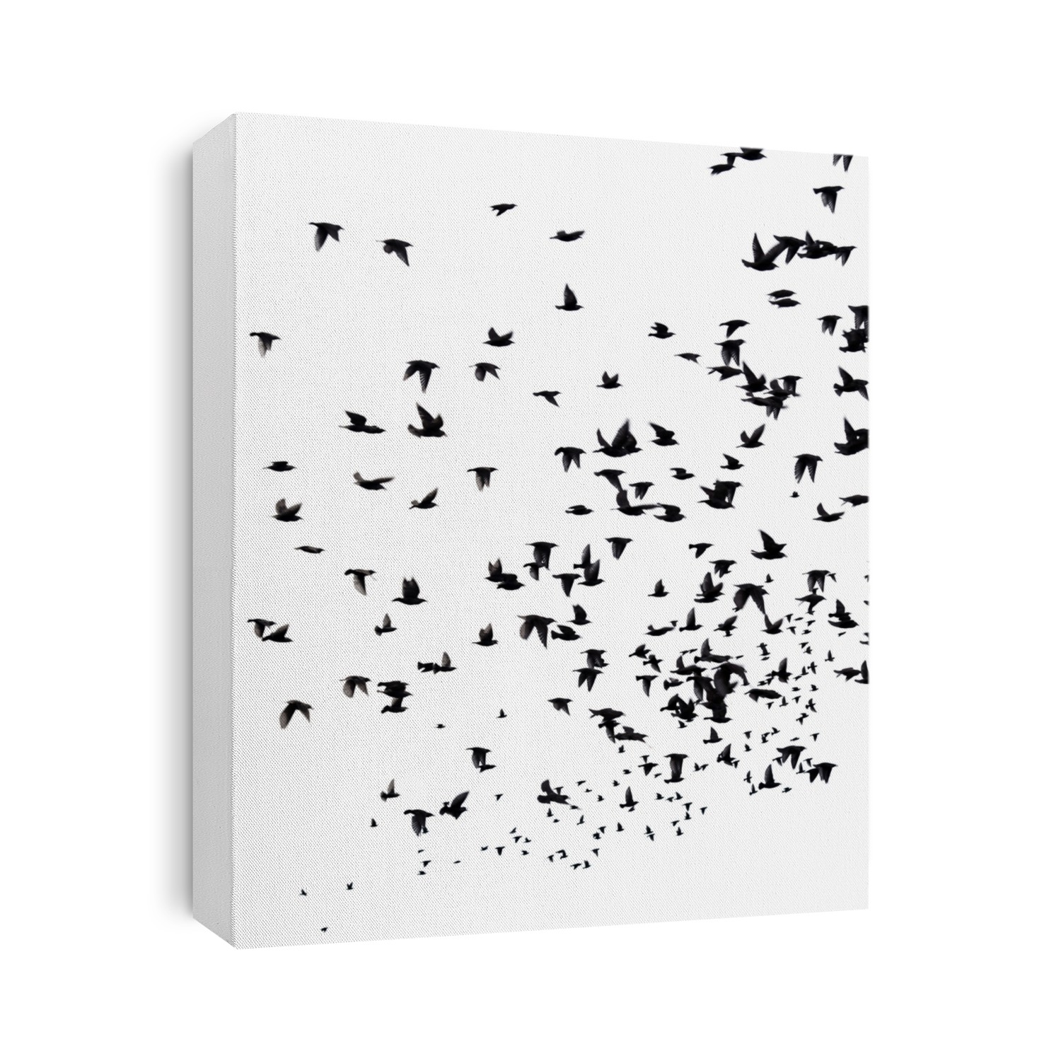 A flock of migratory birds. set of black silhouettes of birds flying in the sky. Isolated on white background, motion blur